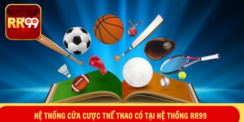 Chiến thuật đặt cược hiệu quả từ thực tế