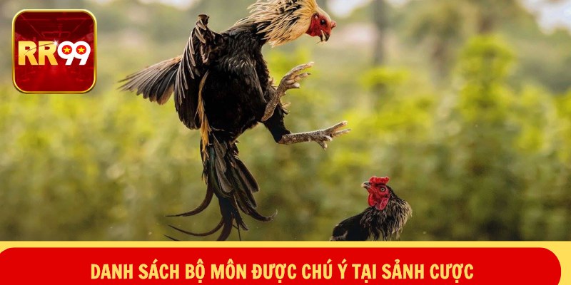 Đá Gà WS168 – Sôi Động Trường Đấu, Bùng Nổ Đam Mê 3 Danh sách bộ môn được chú ý tại sảnh cược