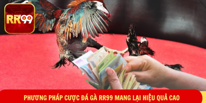 Phương pháp cược đá gà RR99 mang lại hiệu quả cao