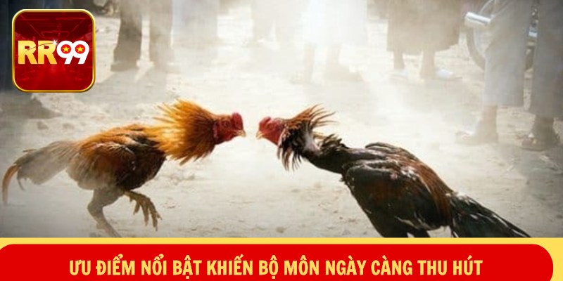 Ưu điểm nổi bật khiến bộ môn ngày càng thu hút